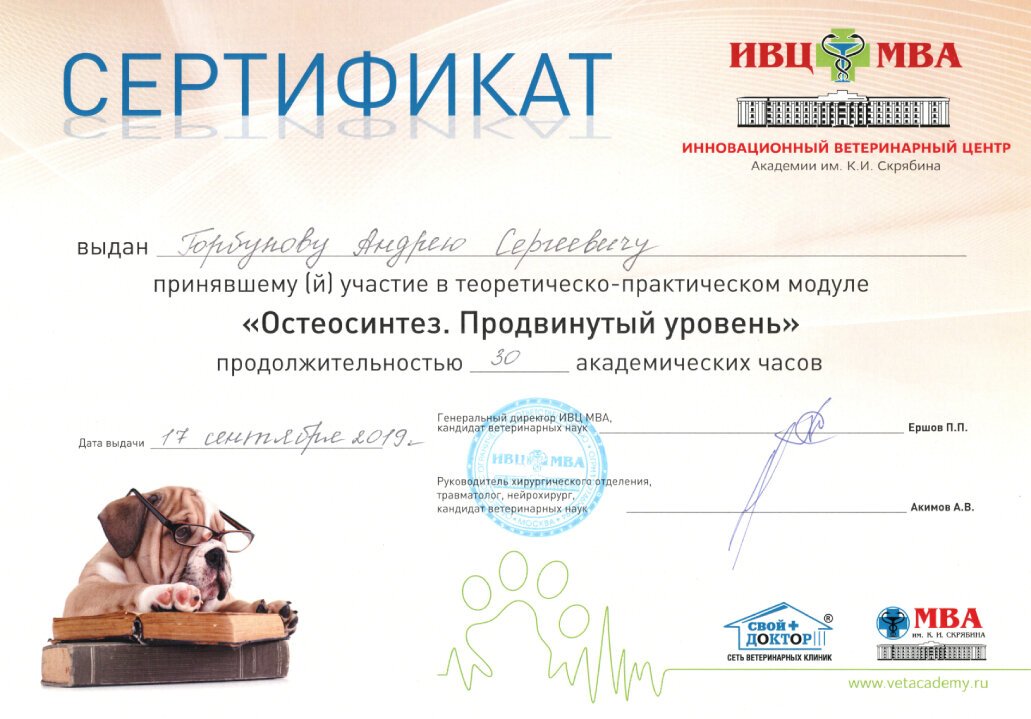 Документ или сертификат