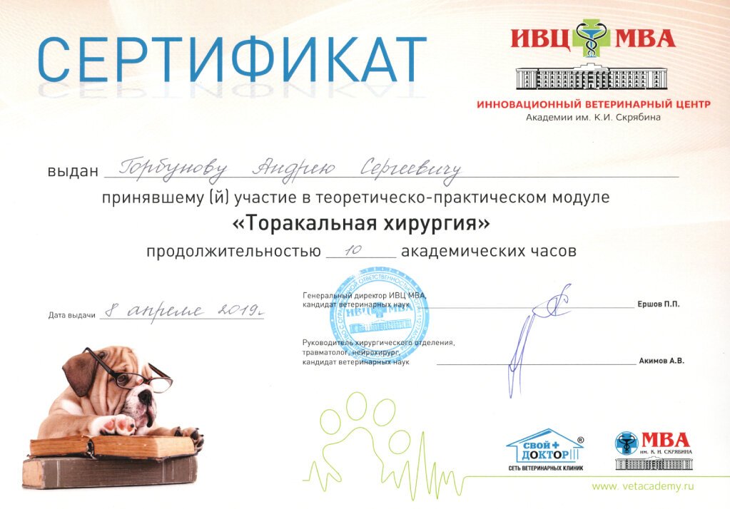 Документ или сертификат