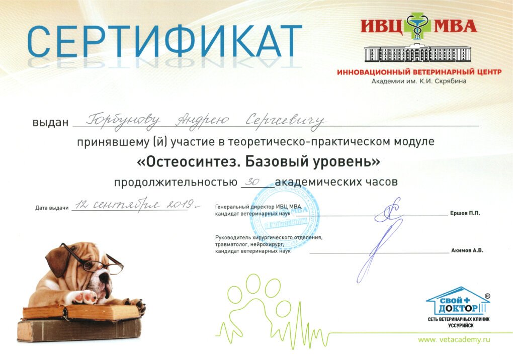 Документ или сертификат