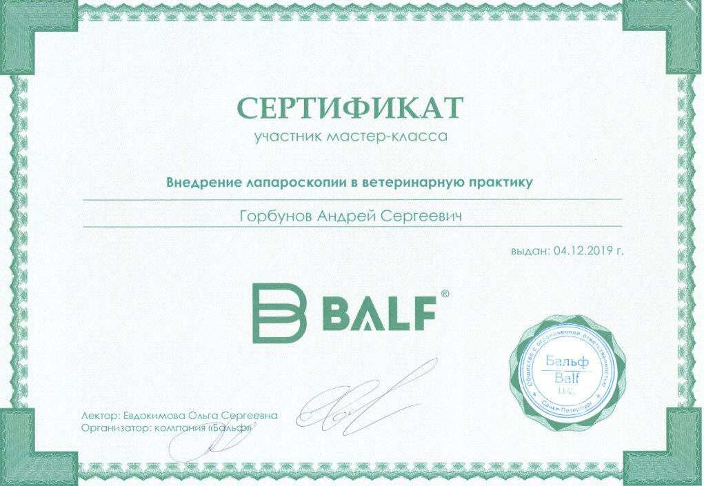 Документ или сертификат