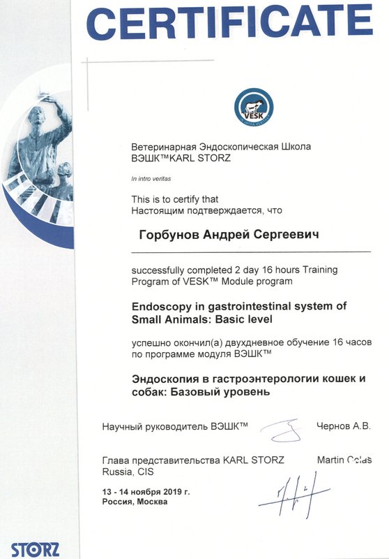 Документ или сертификат