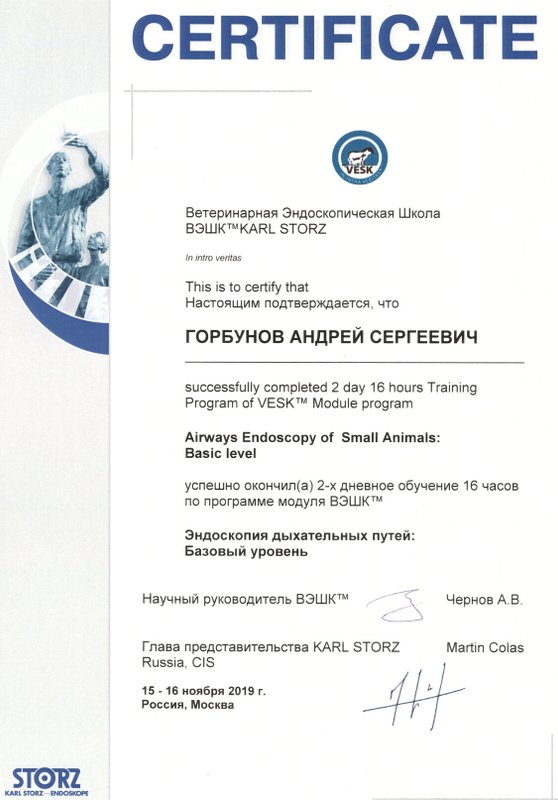 Документ или сертификат