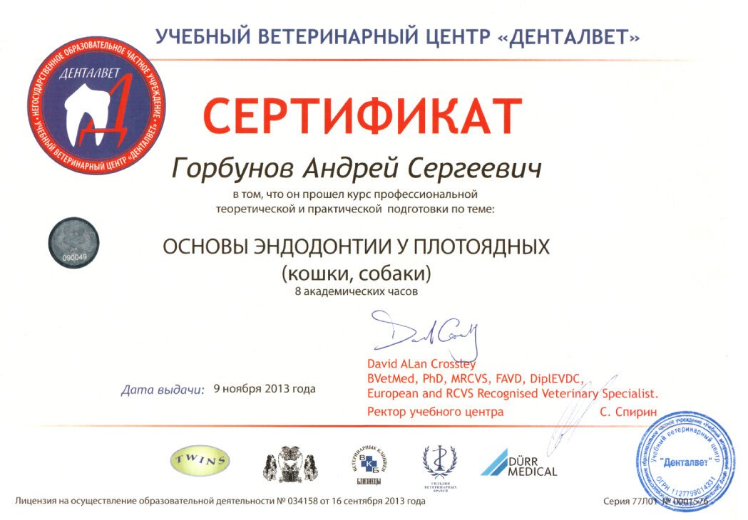 Документ или сертификат