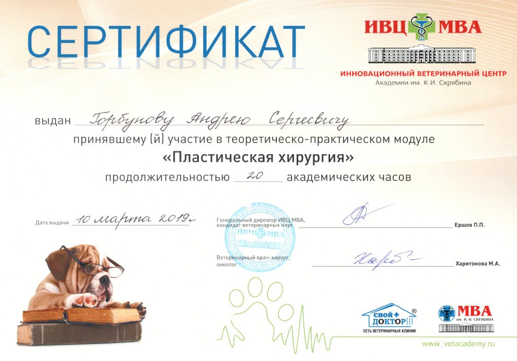 Документ или сертификат