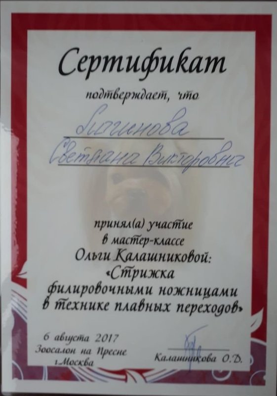 Документ или сертификат