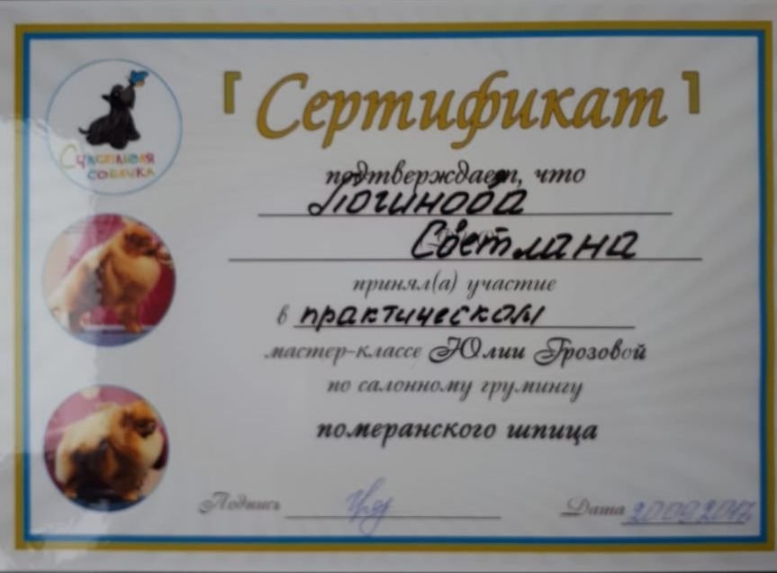 Документ или сертификат