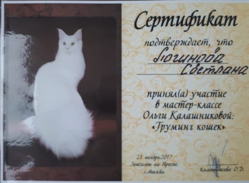 Документ или сертификат