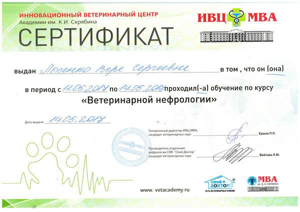 Документ или сертификат