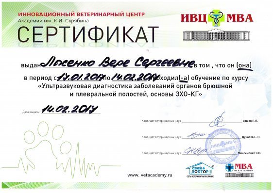 Документ или сертификат