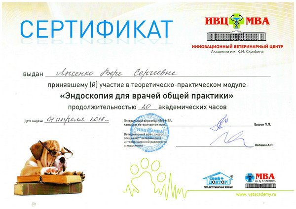 Документ или сертификат