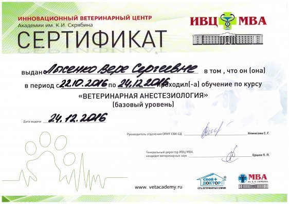 Документ или сертификат