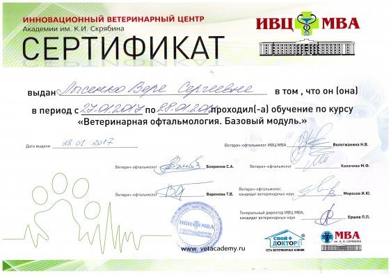 Документ или сертификат