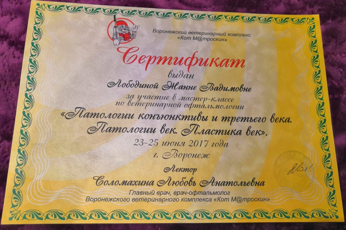 Документ или сертификат