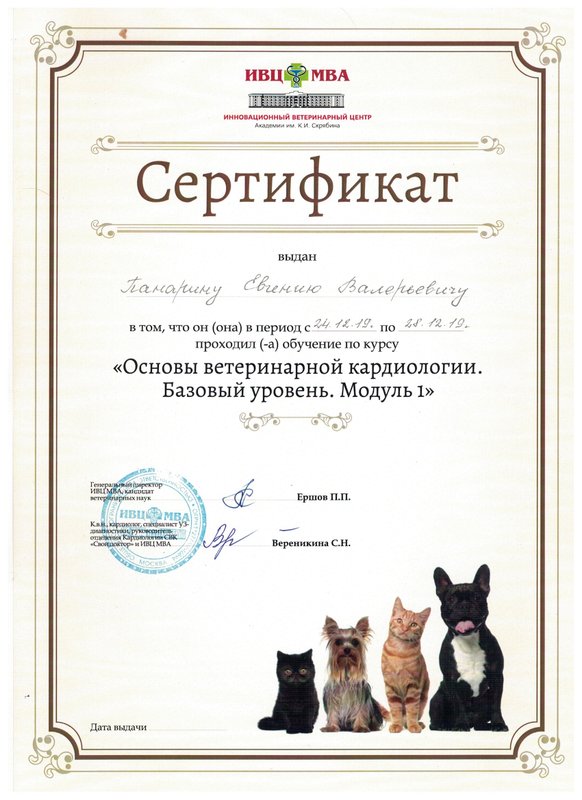 Документ или сертификат