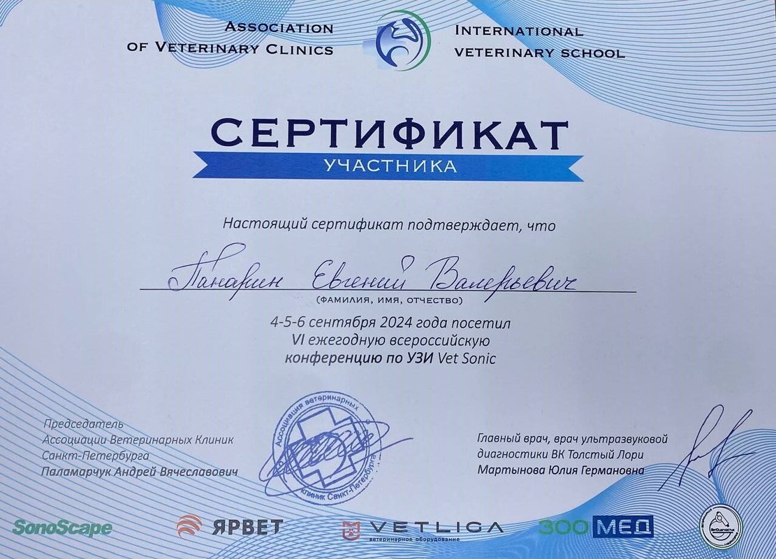 Документ или сертификат