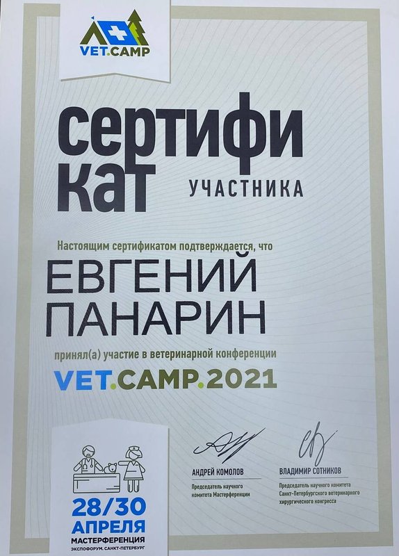 Документ или сертификат
