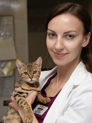 Фото врача Уварова Юлия Игоревна