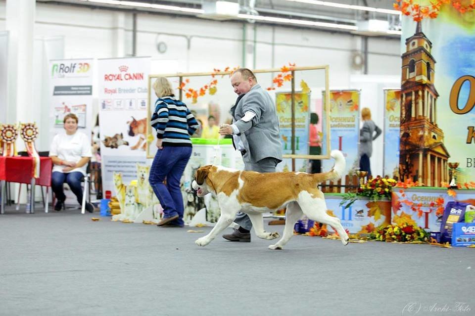 Фото врача