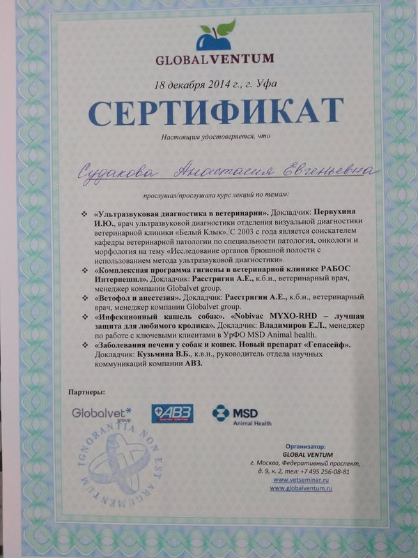 Документ или сертификат