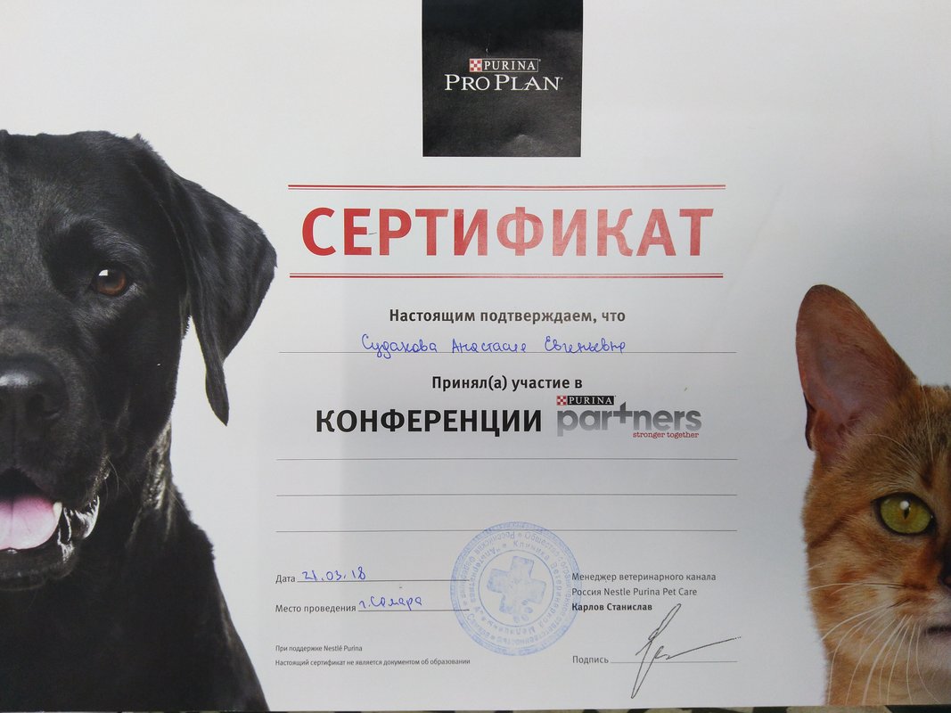 Документ или сертификат