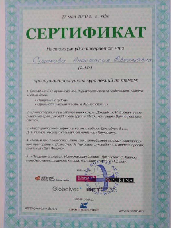 Документ или сертификат