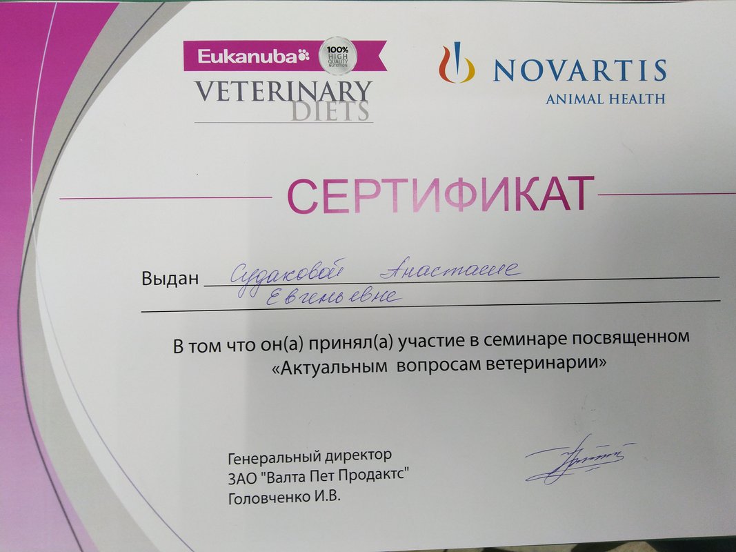 Документ или сертификат