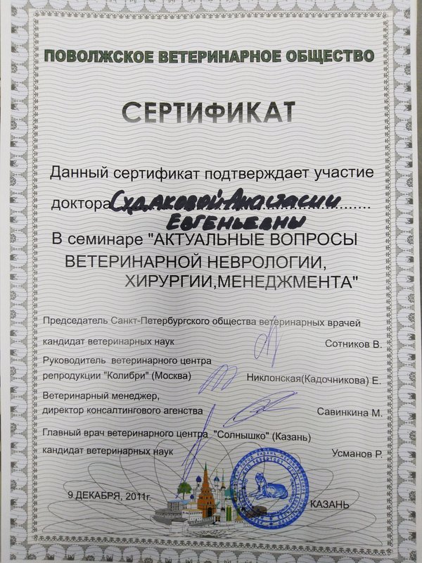Документ или сертификат