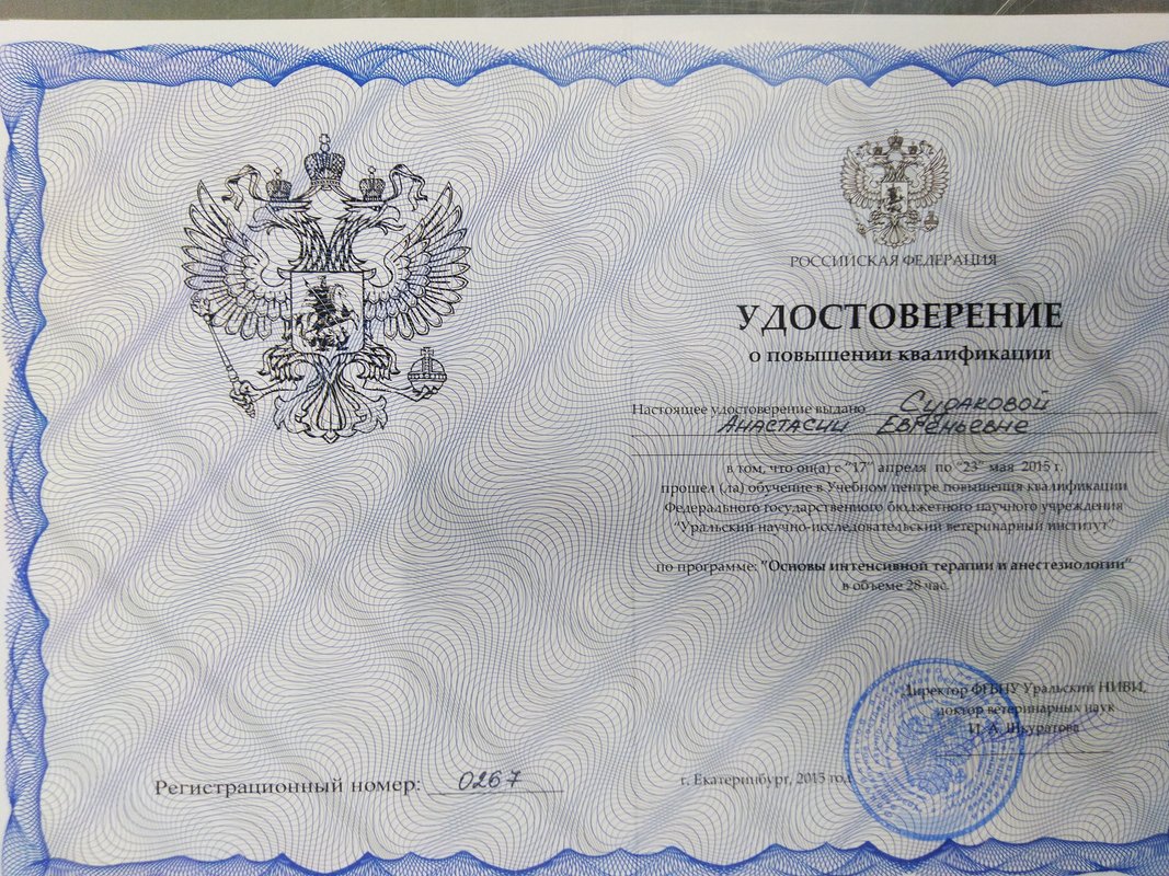 Документ или сертификат
