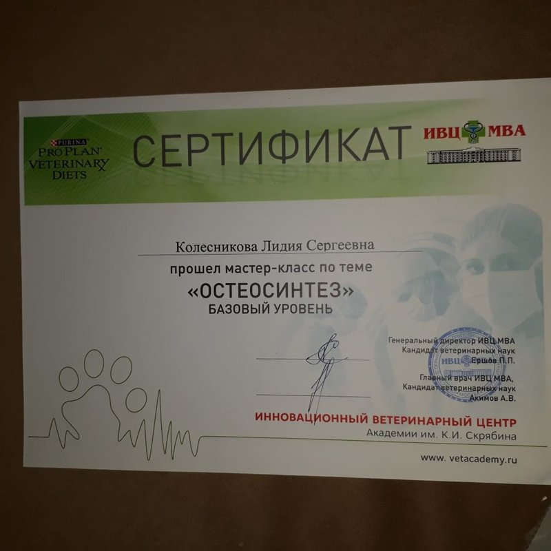 Документ или сертификат