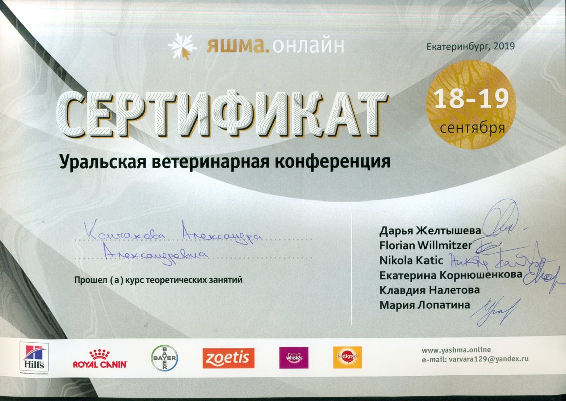 Документ или сертификат