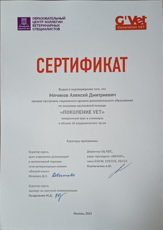 Документ или сертификат
