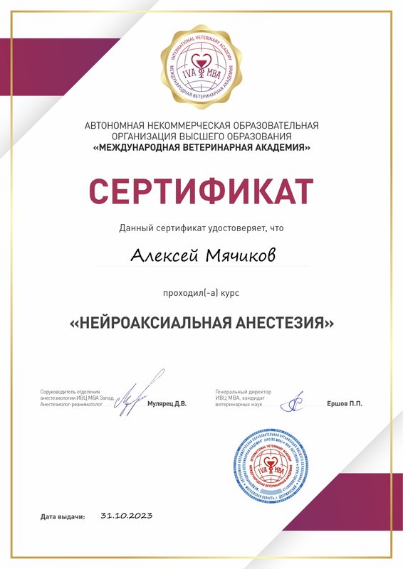 Документ или сертификат