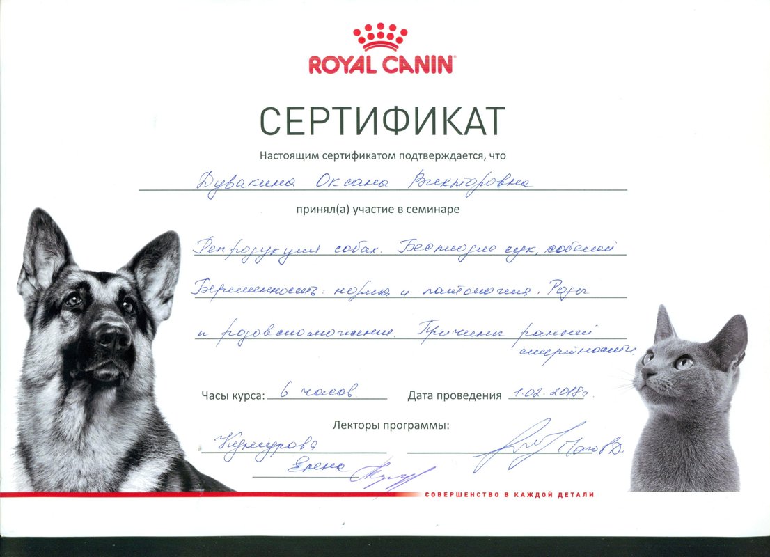 Документ или сертификат