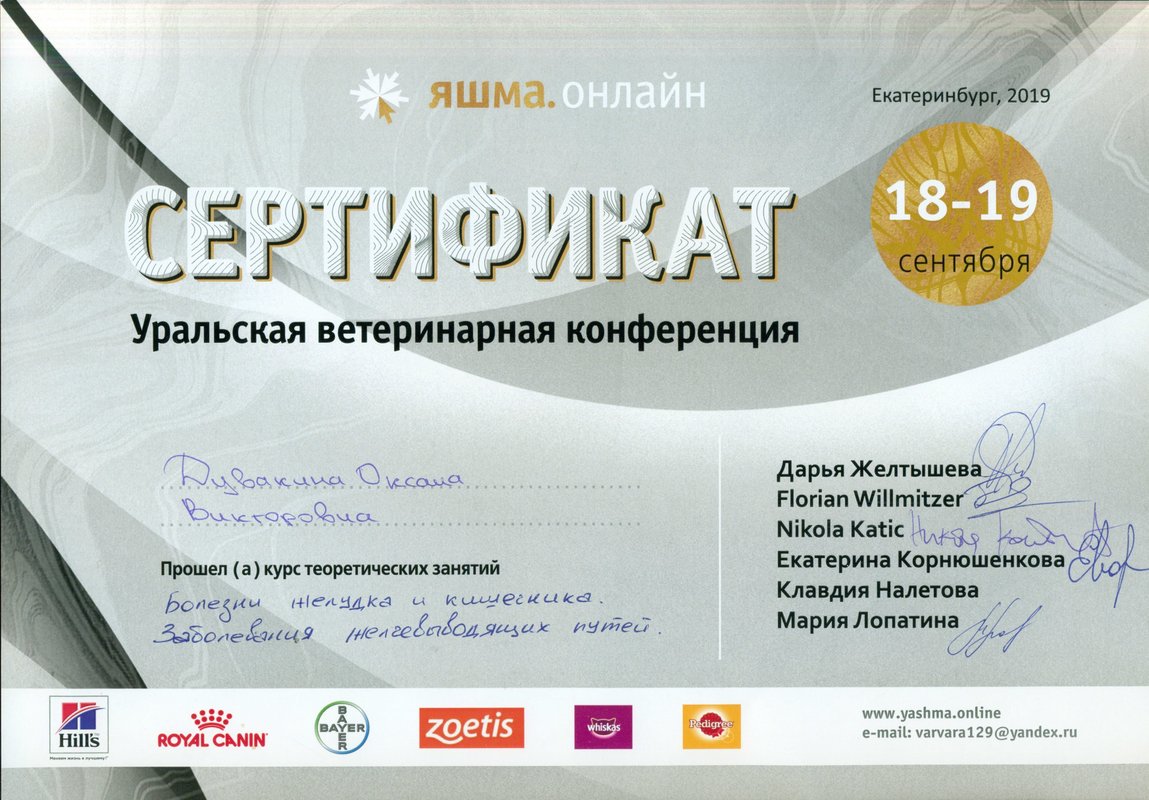 Документ или сертификат