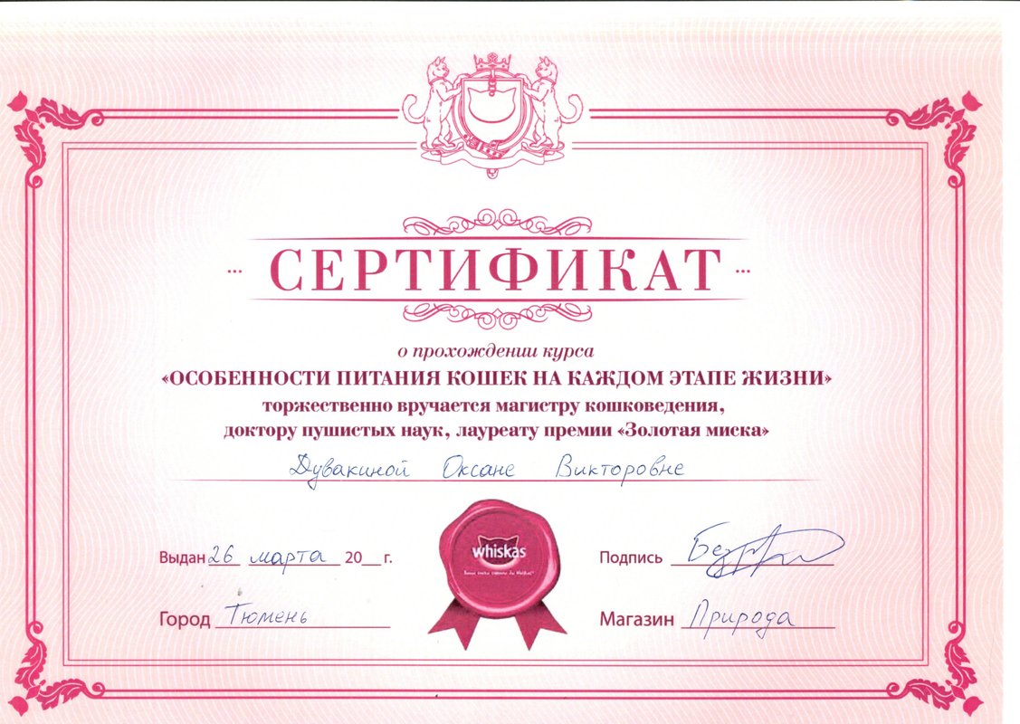 Документ или сертификат