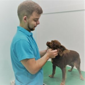 Фото врача Буревич Андрей Андреевич