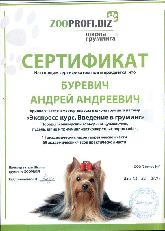 Документ или сертификат