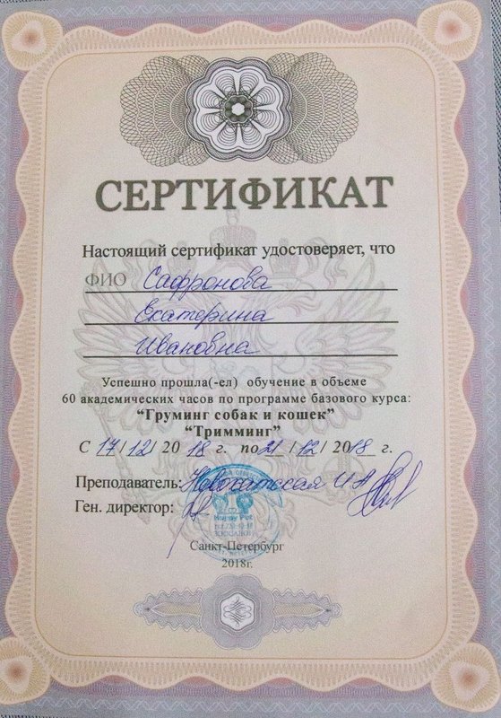 Документ или сертификат