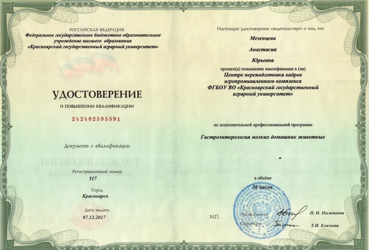 Документ или сертификат