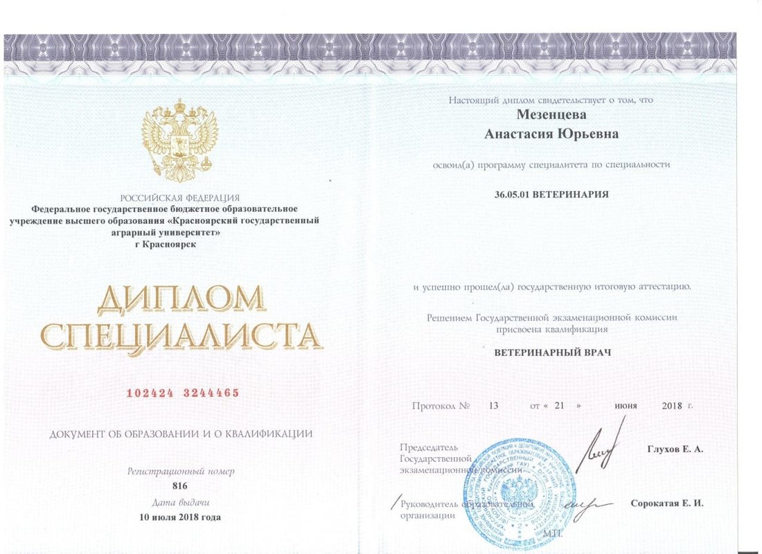 Документ или сертификат