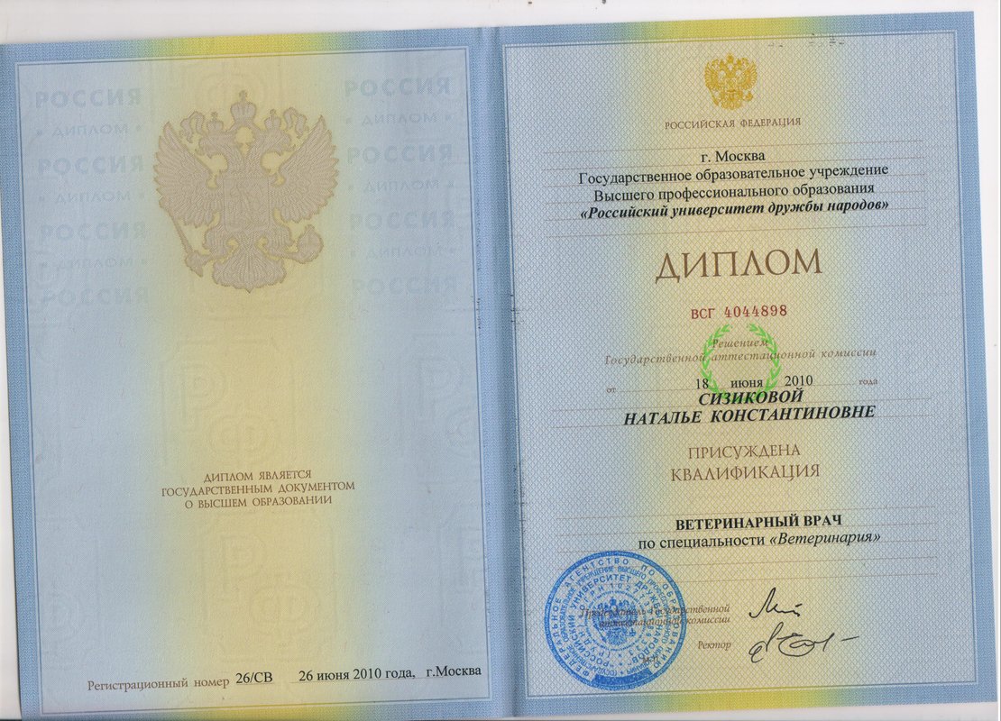 Документ или сертификат
