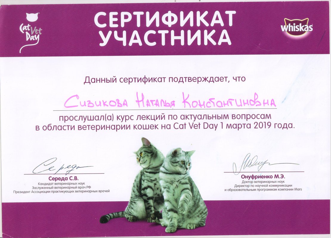 Документ или сертификат