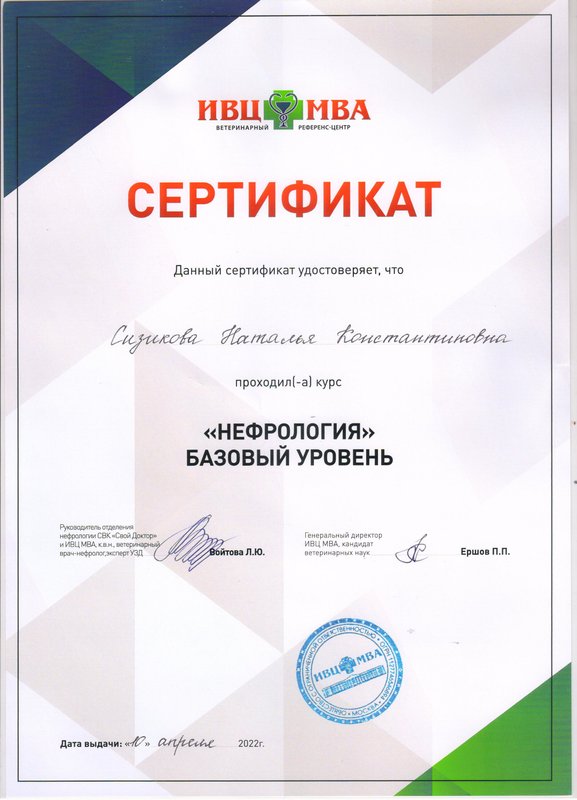 Документ или сертификат
