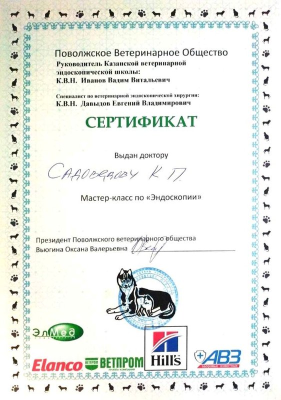 Документ или сертификат