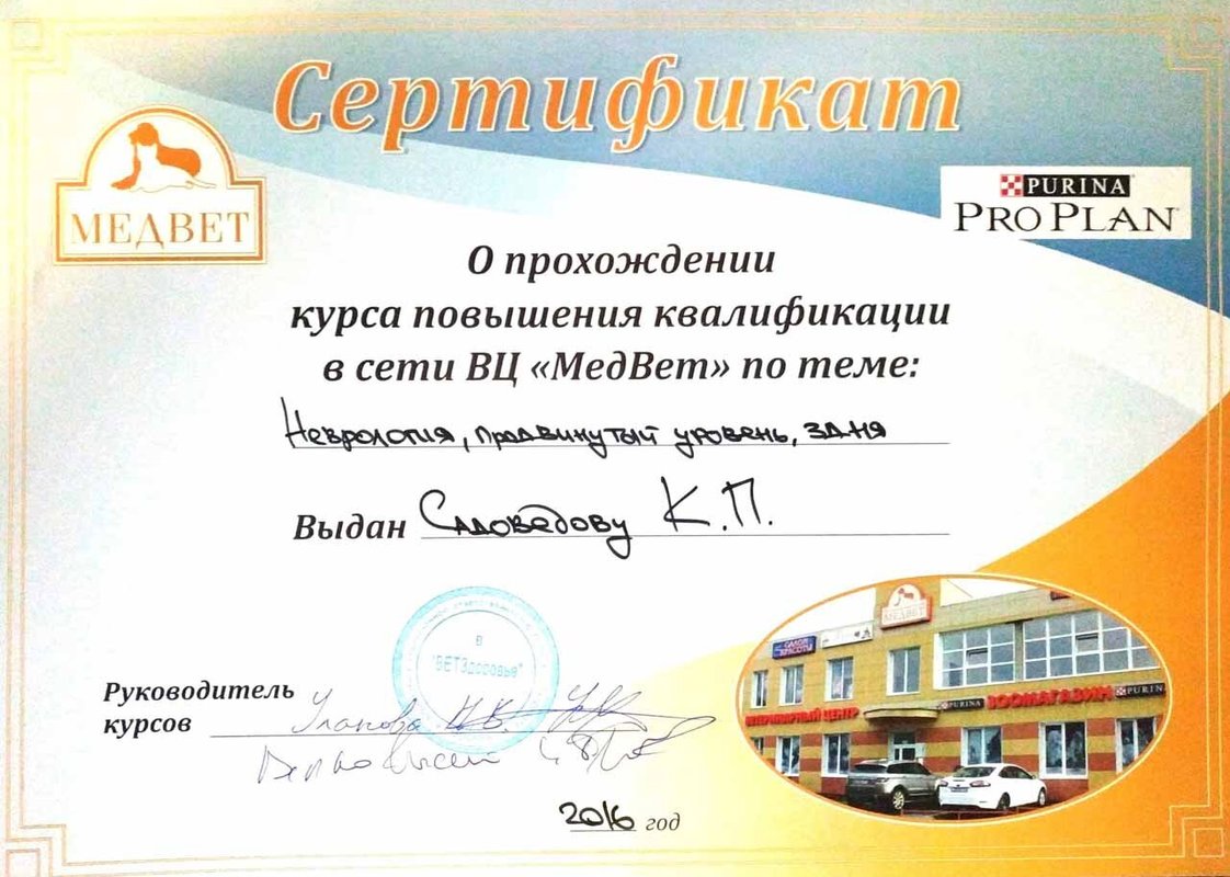 Документ или сертификат
