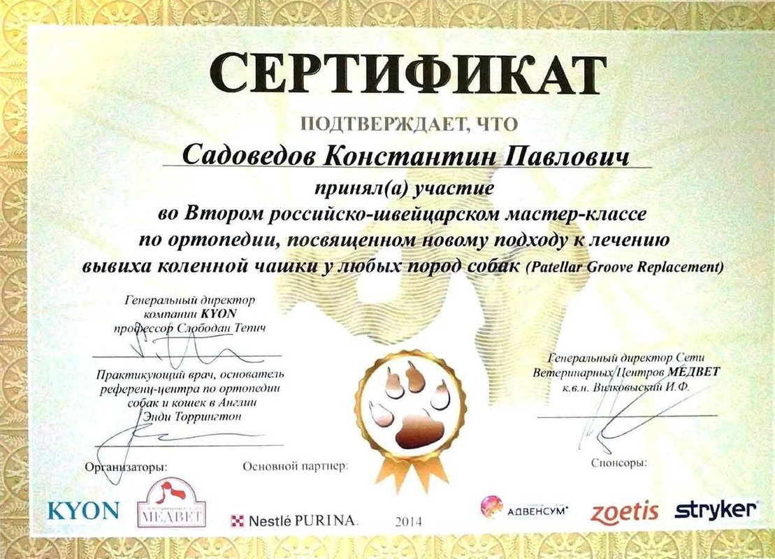 Документ или сертификат