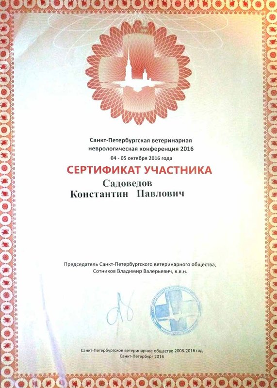 Документ или сертификат