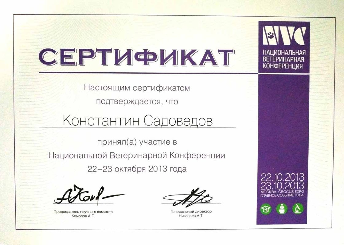 Документ или сертификат