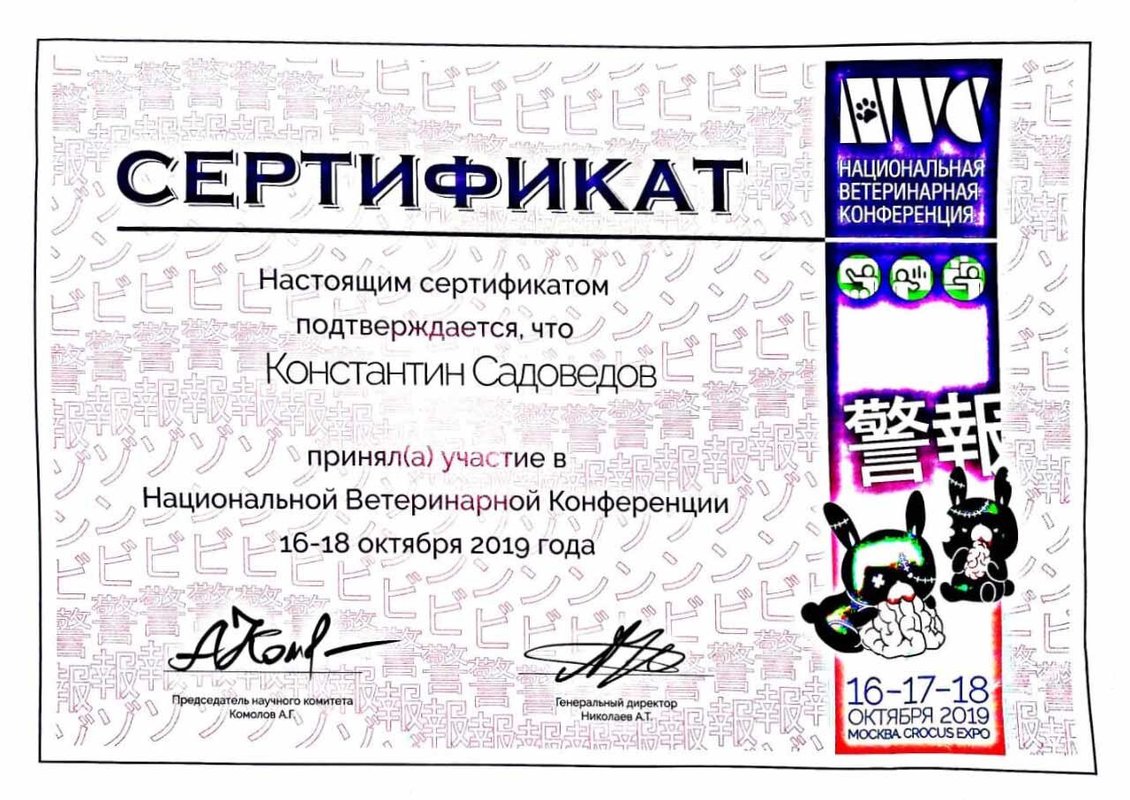 Документ или сертификат