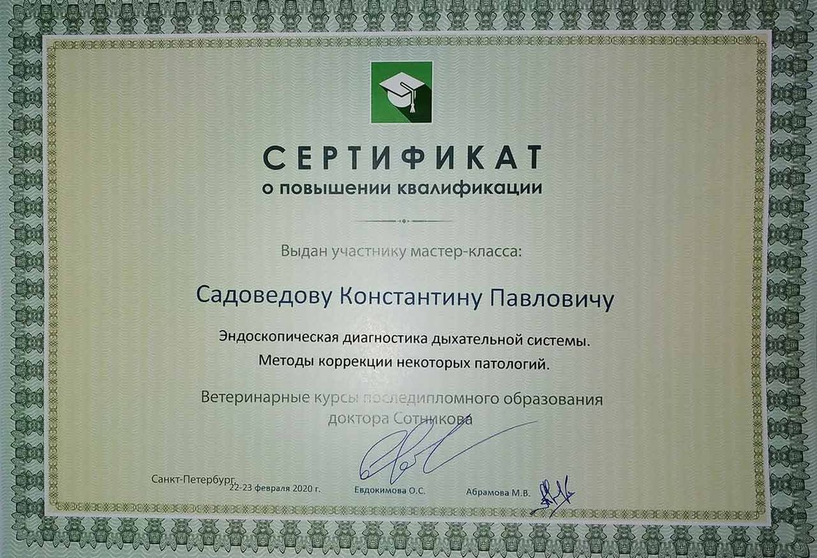 Документ или сертификат